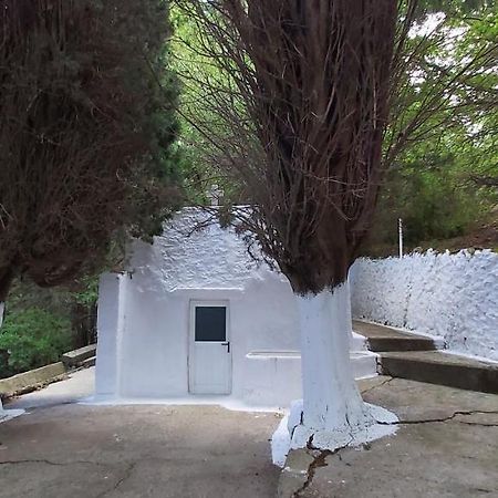 Traditional House In Asfendiou Agios Dimitrios  Ngoại thất bức ảnh