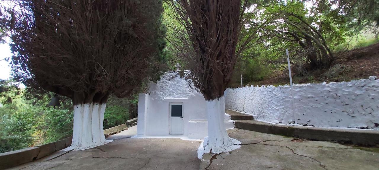 Traditional House In Asfendiou Agios Dimitrios  Ngoại thất bức ảnh