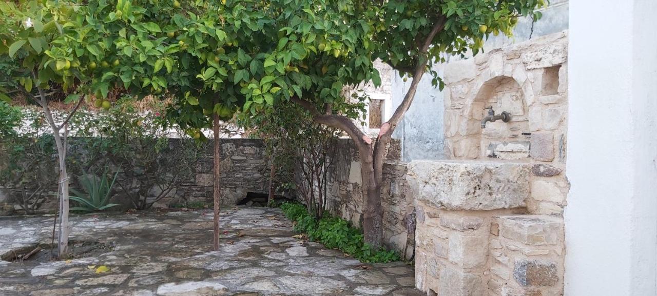 Traditional House In Asfendiou Agios Dimitrios  Ngoại thất bức ảnh